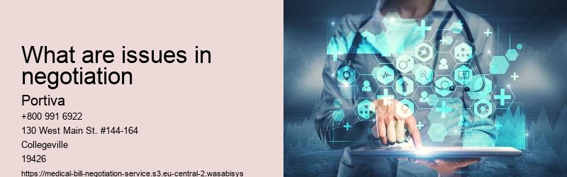 What are issues in negotiation